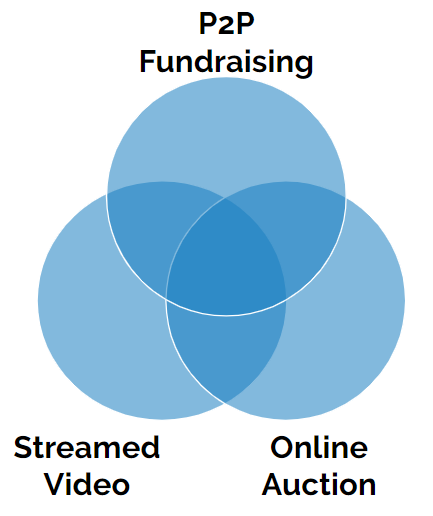 elements of a virtual gala